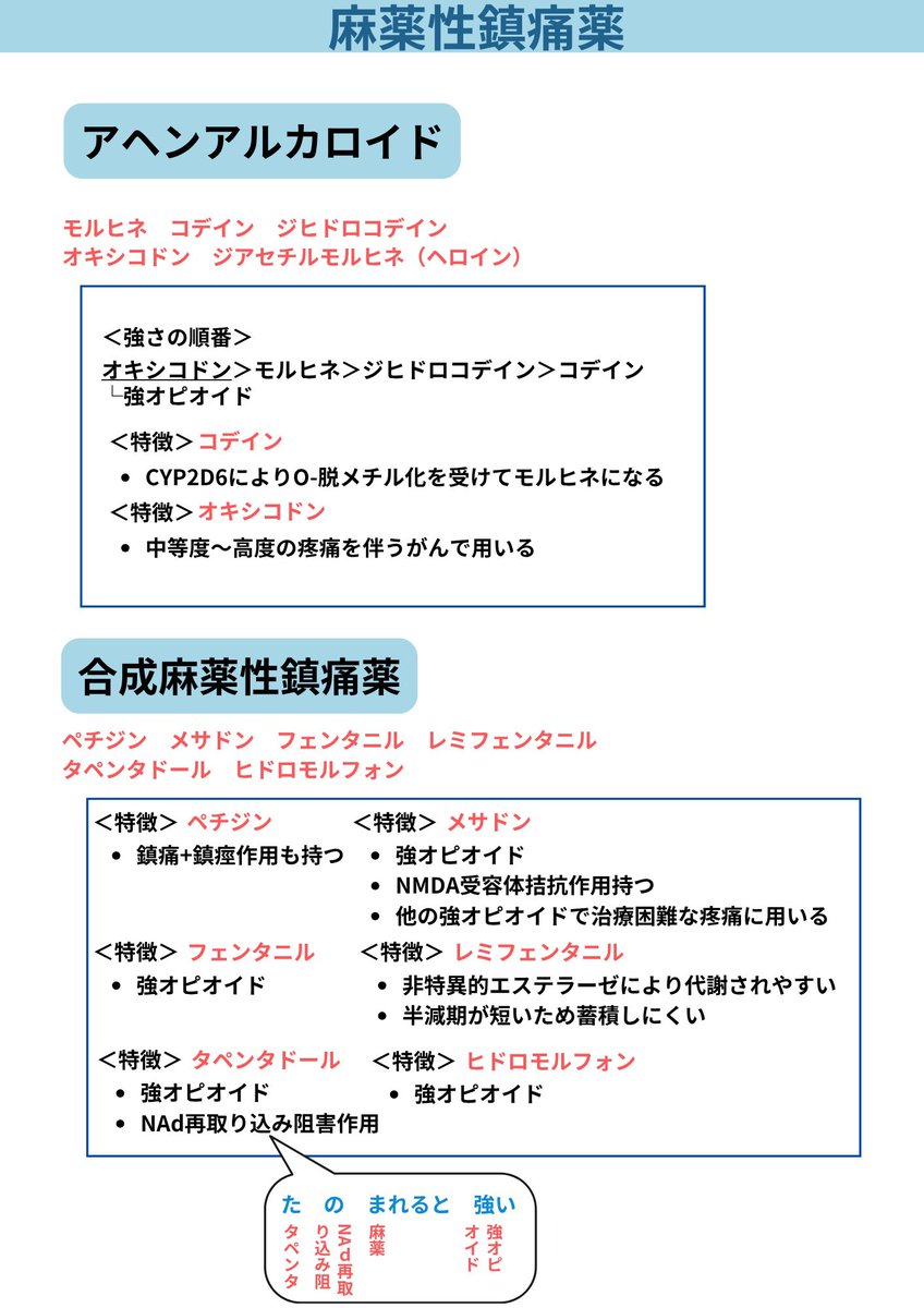 薬学サポーター とも tweet media