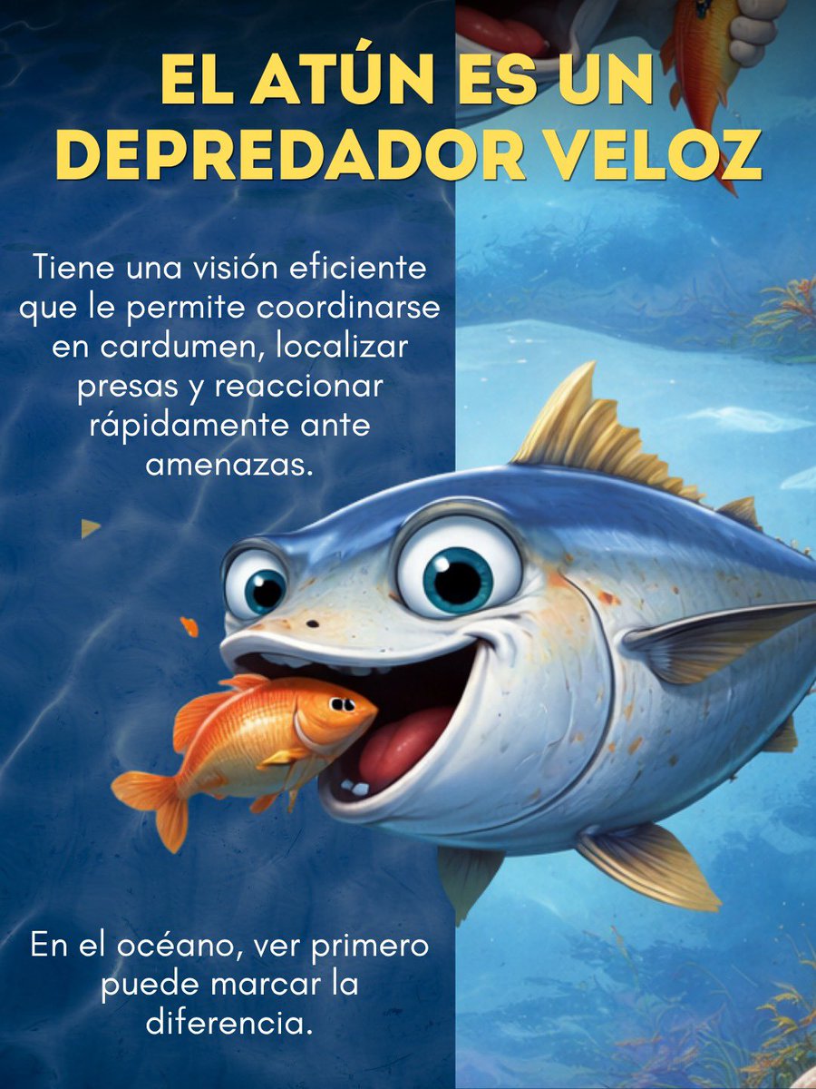 ATUNEC EC tweet media