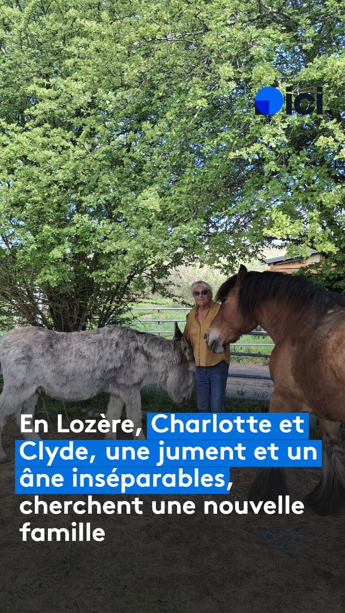 ICI Gard Lozère tweet media