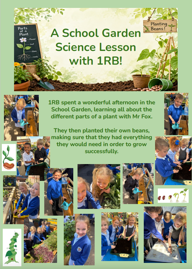NewBrightonPS's tweet photo. This weeks newsletter is out now 😊Download the full version from the school website https://t.co/8ISbxO6KIv https://t.co/gd6b6II9SO