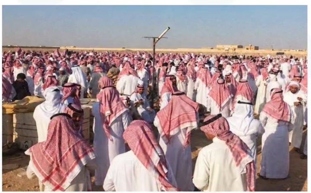 ‏﮼متعب ﮼الشمري ﮼ tweet media