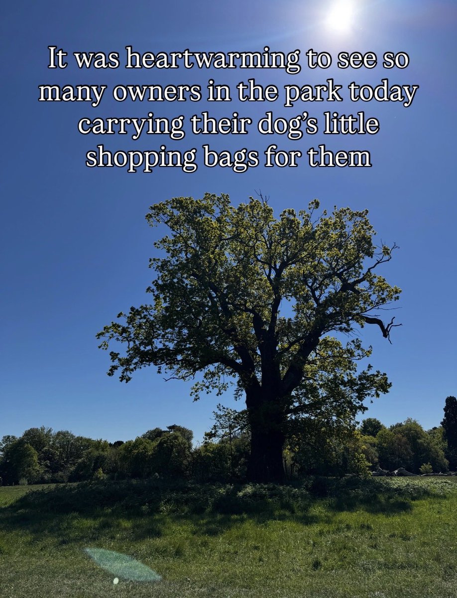 thoughtumbrella's tweet photo. It was heartwarming to see so many owners in the park today
carrying their dog's little shopping bags for them https://t.co/J0b8Myl3eu