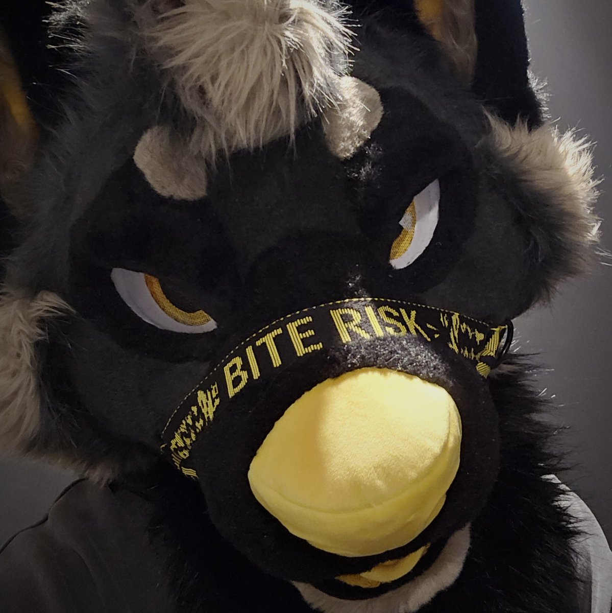 Byte🐺💸 tweet media