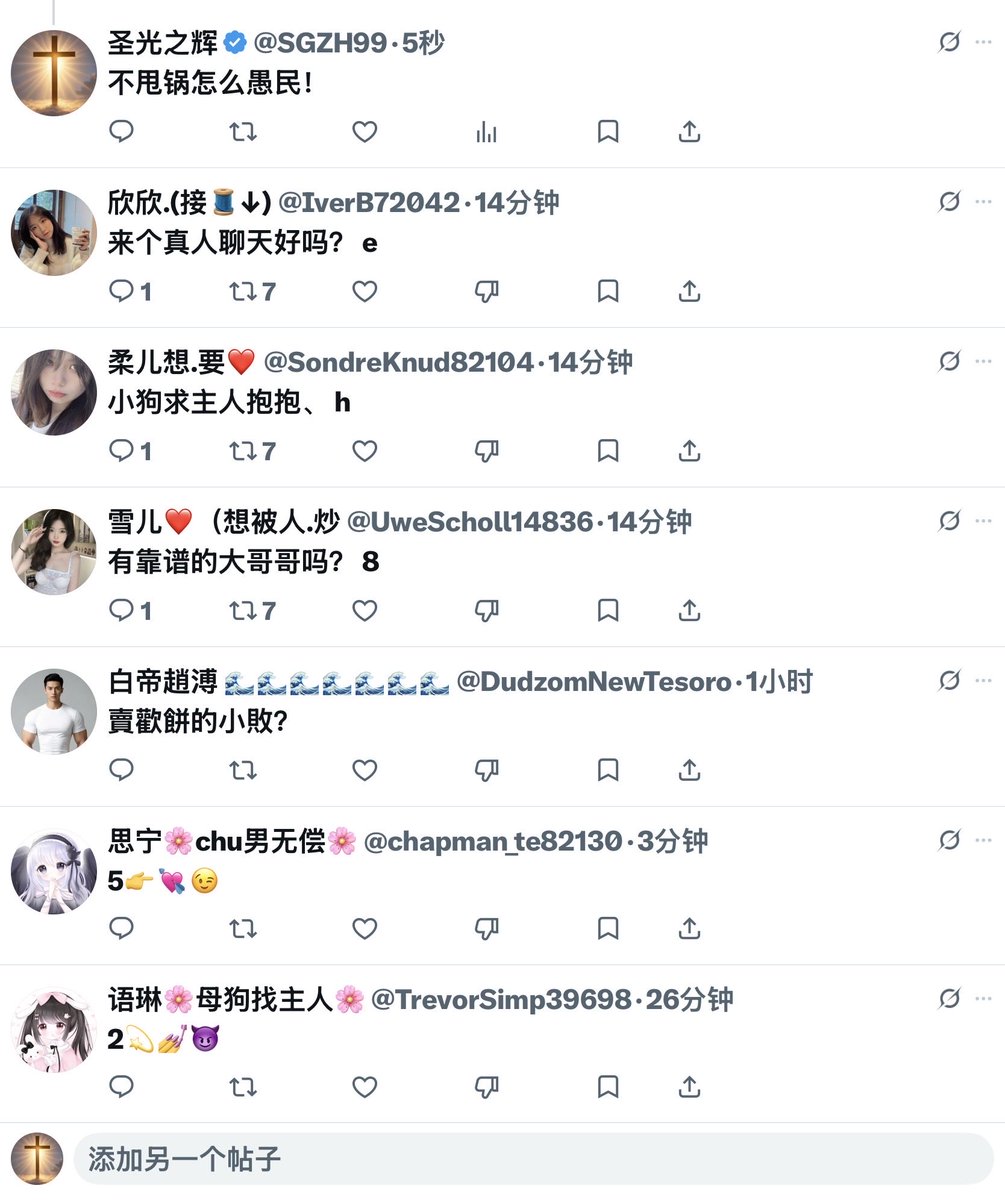 圣光之辉 tweet media