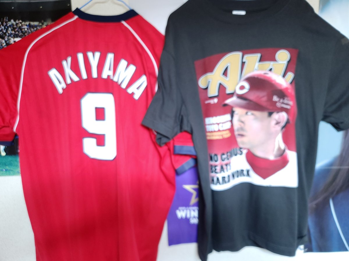 今日は秋山さんが猛打賞したそうで⚾️待ってました 「アキのチカラ