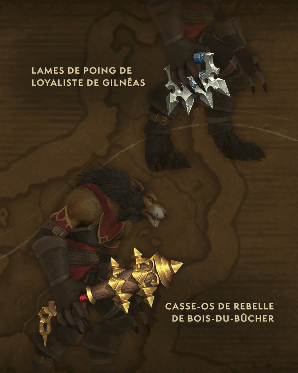 Warcraft FR tweet media