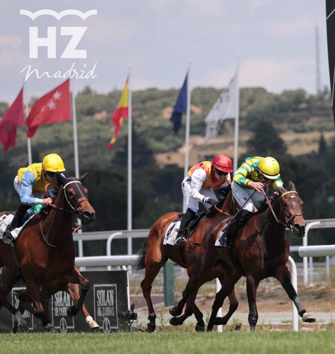 AEPCC_ES's tweet photo. ENHORABUENA!! a la Cuadra SAN JOSÉ @Cuadra_nJose por el doblete de victorias. 
A Álvaro Soto @ASoto_Racing y Juan Carlos Rosell @JCRosellRacing, y a su jockey R. Sousa @RicardoSousaFe, por las victorias de SWEET CAROLINE en el TERESA y de DELICADA en el HOWDEN. 
Perfecto día 👏👏 https://t.co/dxrVTOho8c