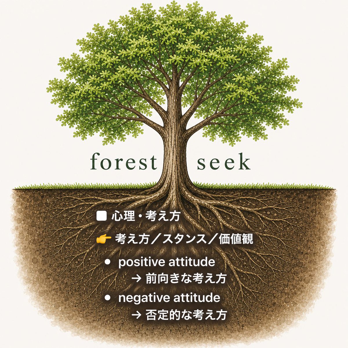 ForestNumazu's tweet image. 身近で「アティテュード」と言う言葉を聞きます
調べたら【考え方】【価値観】でした
日常で意識したい言葉ですね
#アティテュード
#attitude