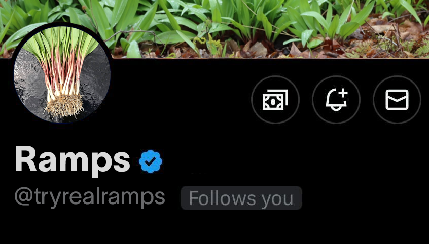 Ramp tweet media