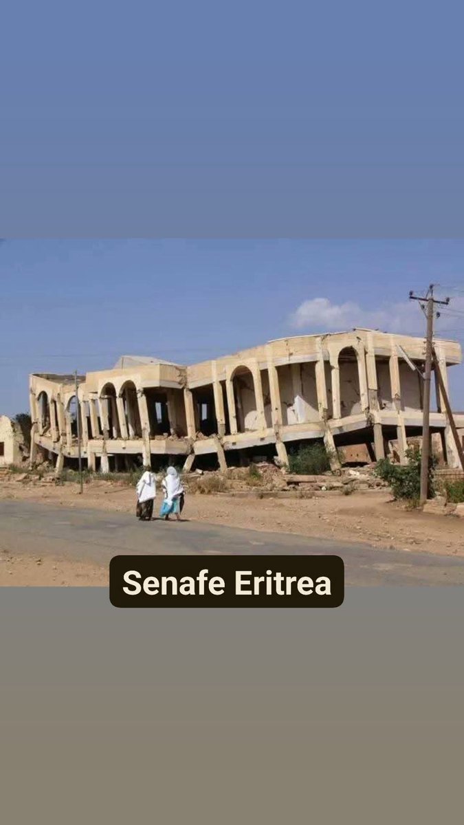 ጓል ሃገረ-ሰብ 💎 🦋 tweet media