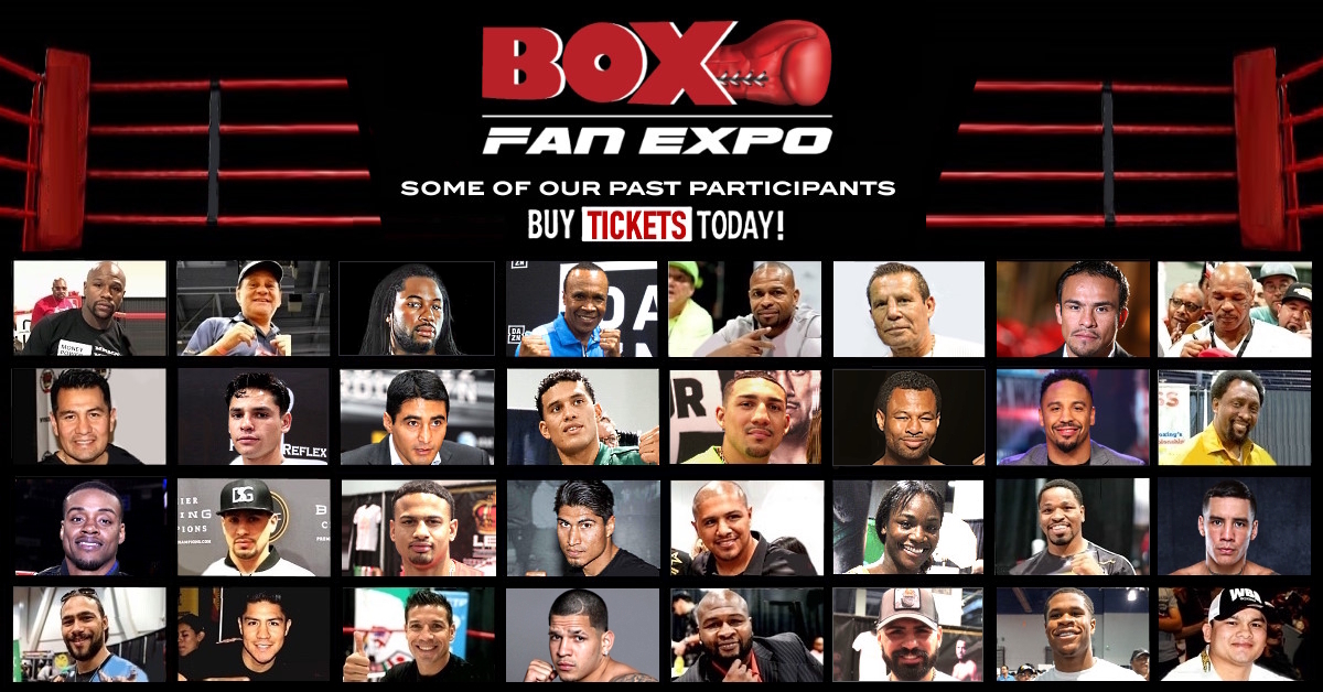 Box Fan Expo tweet media