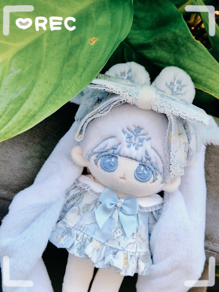 🌿리언🌿 tweet media