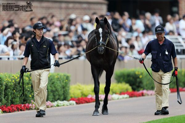 競馬ラボ tweet media