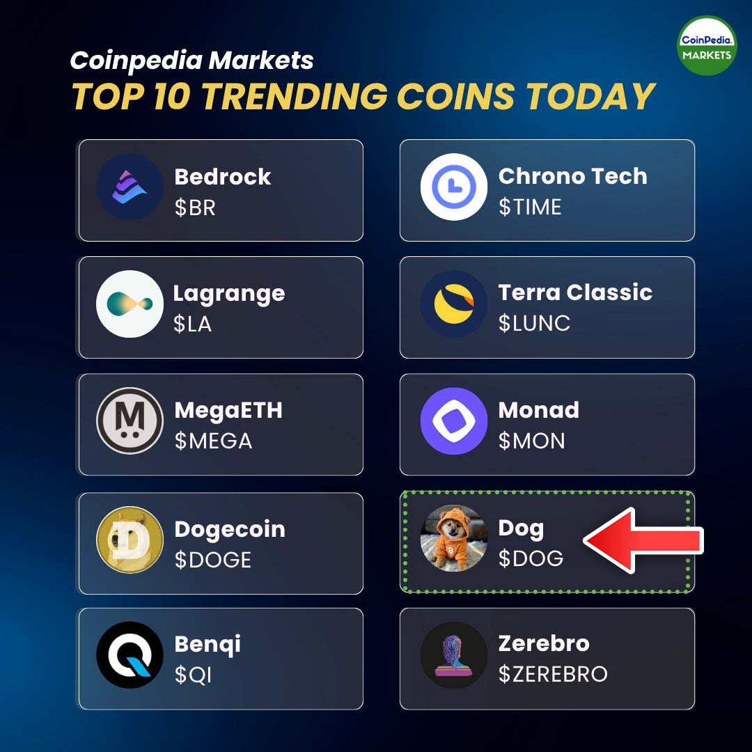 Vincent (Cryptolution) 👑 tweet media