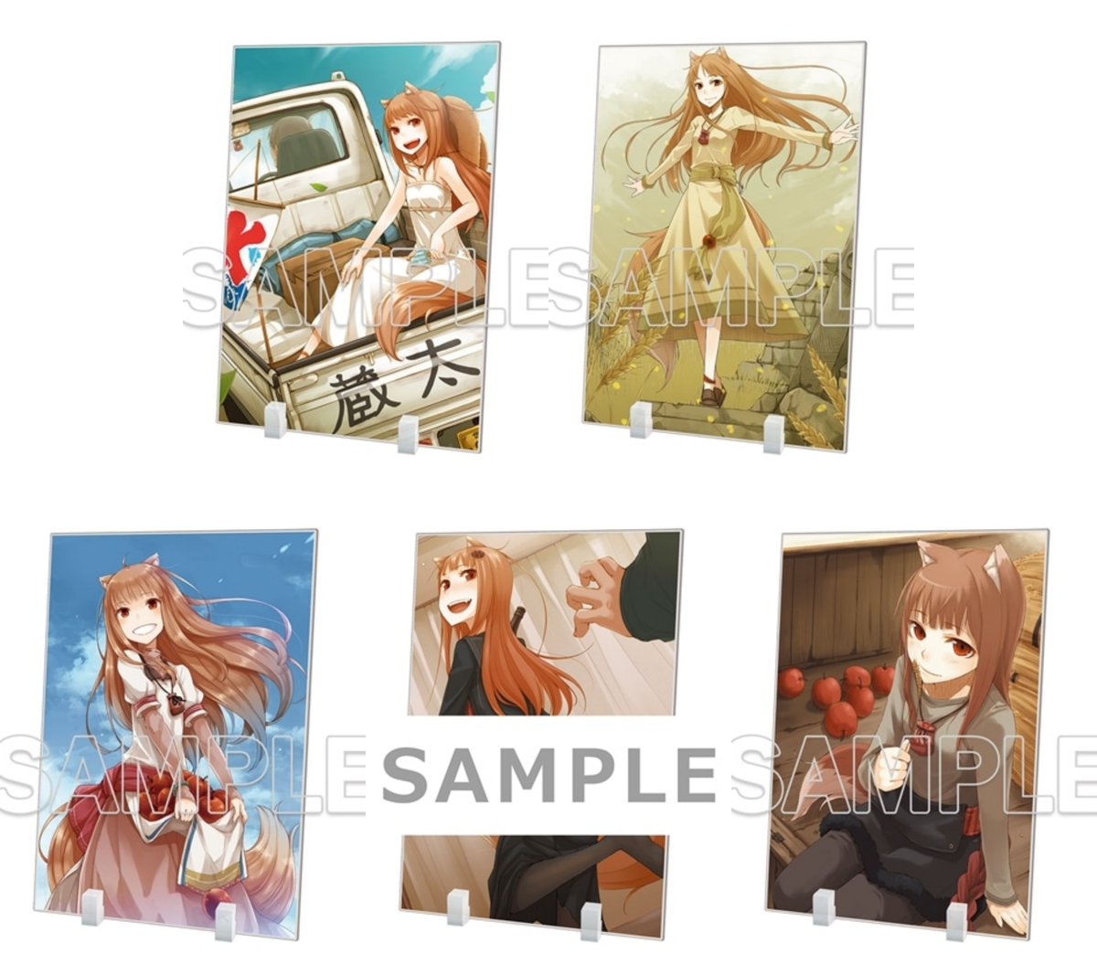 香辛料のビッグジャケットイラストカード[非売品] 2026年10月上旬発売予定 METALBOXにて予約受付開始！(11％OFF) 『狼と