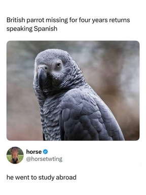 dnvhouten's tweet image. #FridayFunny - No hablo espanol. . .