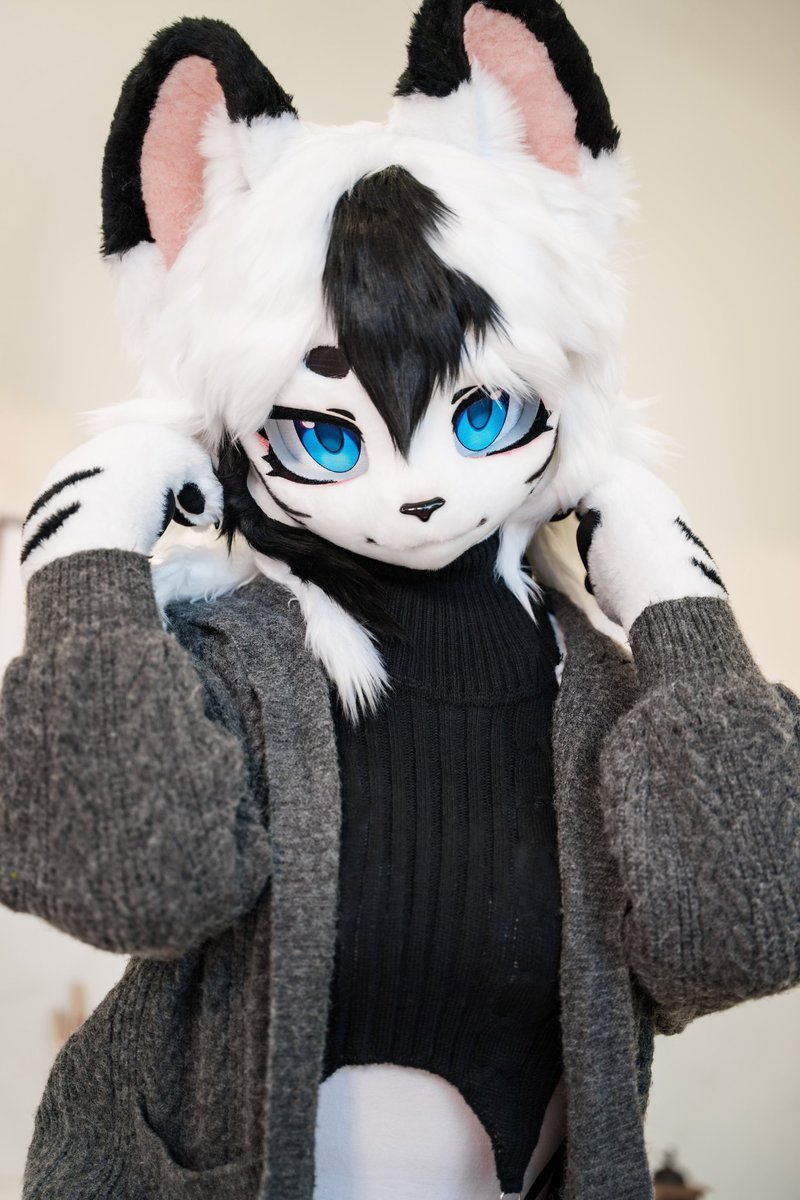 레호Rehoレホ tweet media