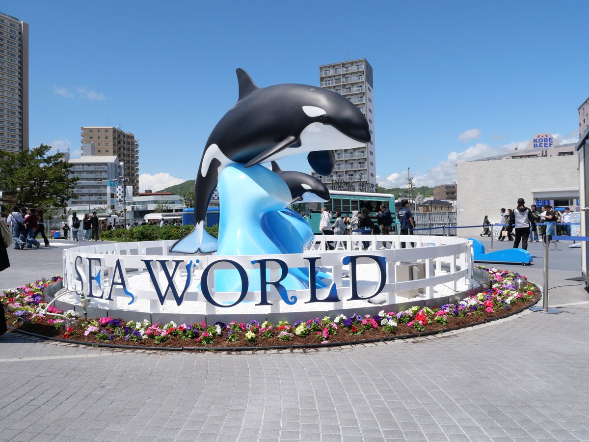 だにえる🦈Adelhied tweet media