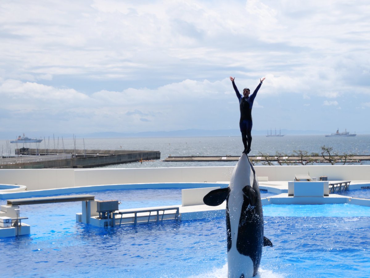 だにえる🦈Adelhied tweet media