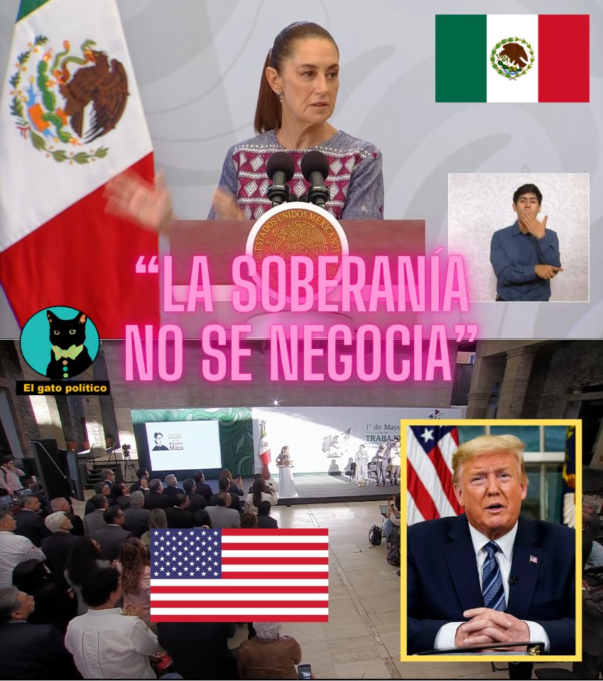 El gato político tweet media