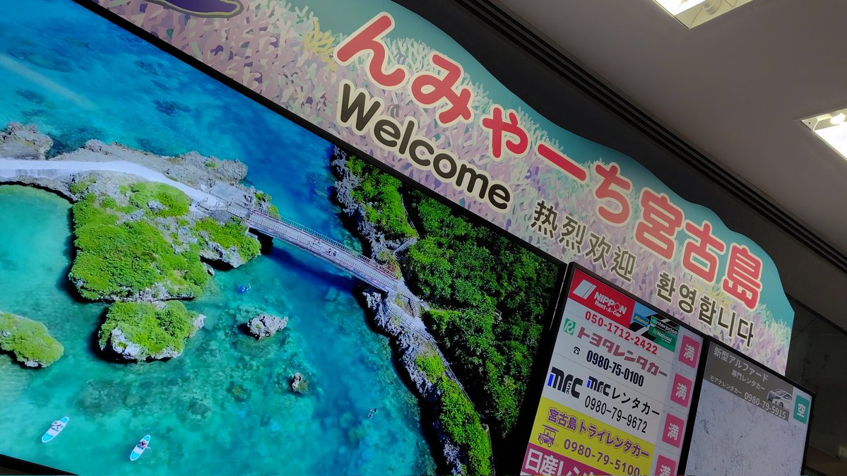 茄子ぴ丸 tweet media
