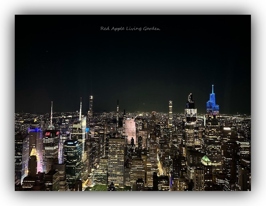 redappleliving1's tweet photo. The night sky of New York https://t.co/BSiBnBt8Fu