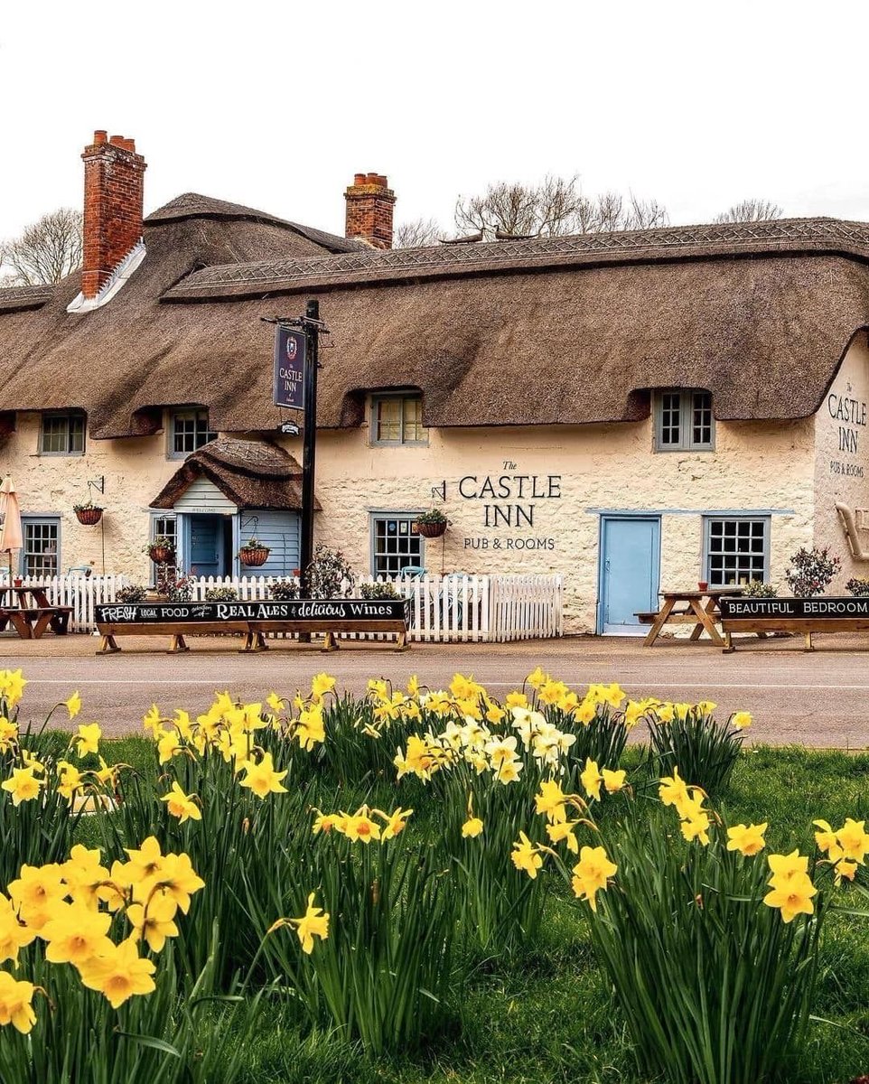 Britain's Lost & Living Pubs tweet media