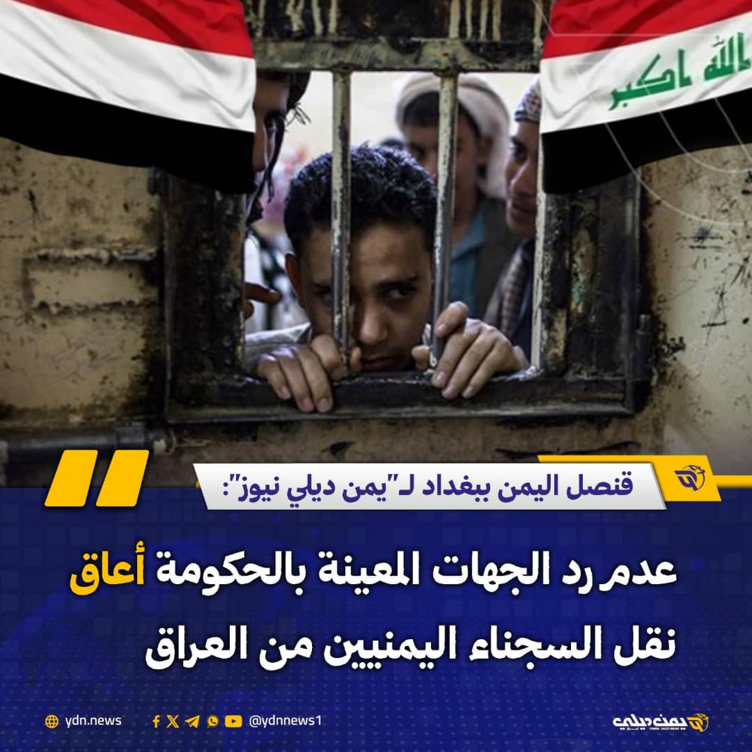 يمن ديلي نيوز tweet media