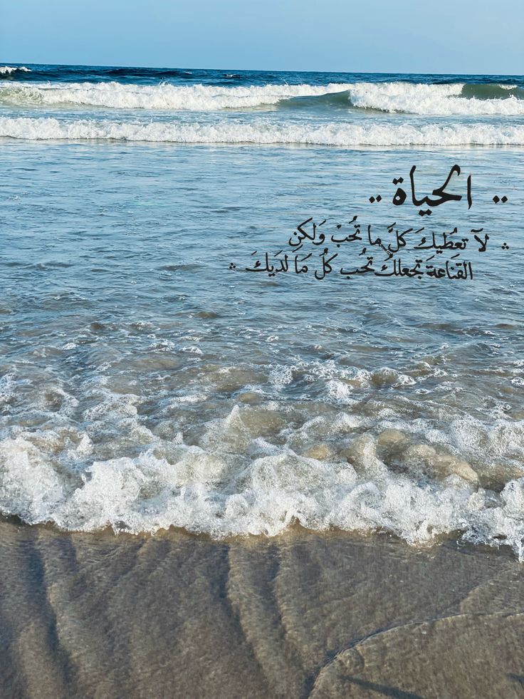 فاطمة الشرقي tweet media