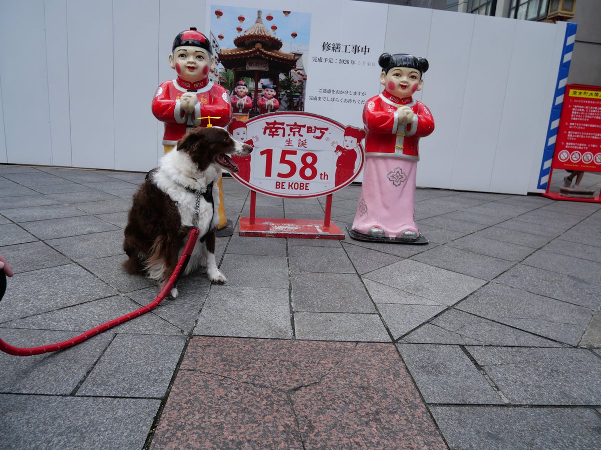 だにえる🦈Adelhied tweet media
