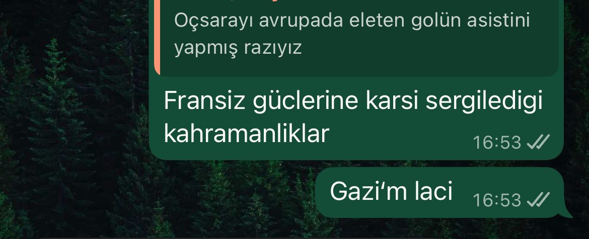 fuzuli tweet media