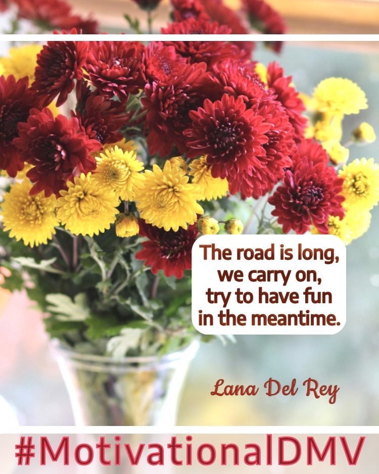 motivationdmv's tweet image. Enjoy your Friday! 🌺The road is long, we carry on, try to have fun in the meantime-Lana Del Rey

Happy New Month!

#fridaymorning #FridayMotivation #May #MotivationalDMV #FridayThoughts #Fridayfeelings #FridayVibes #Friyay