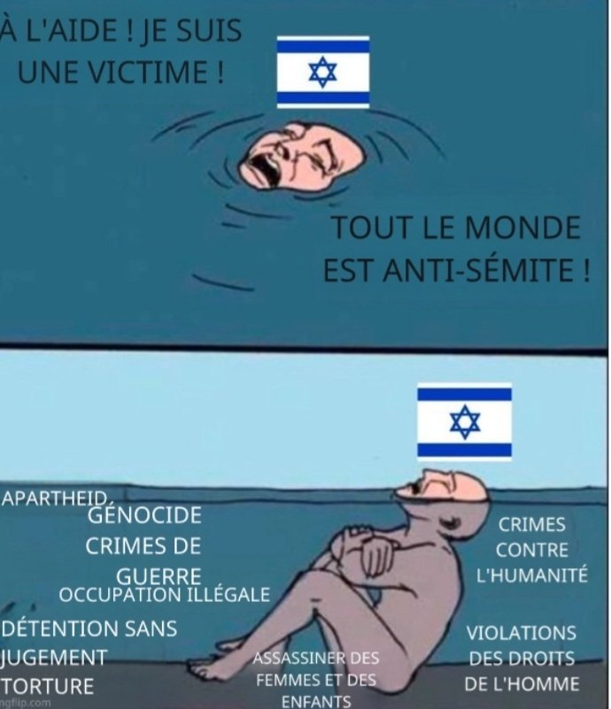 Y🇩🇿🇵🇸 tweet media