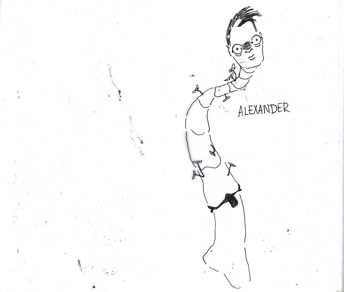 Alex tweet media