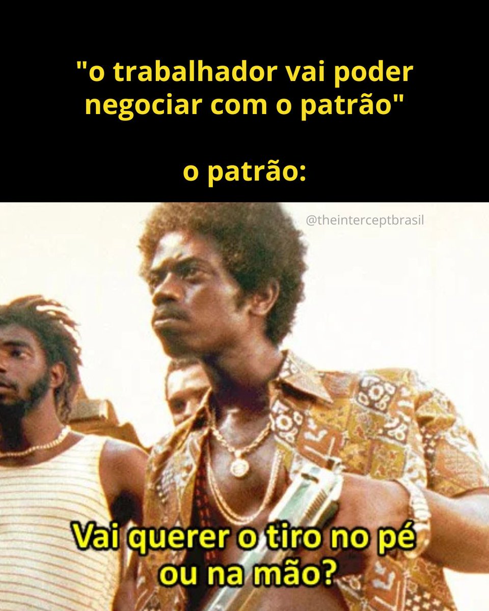 Intercept Brasil tweet media