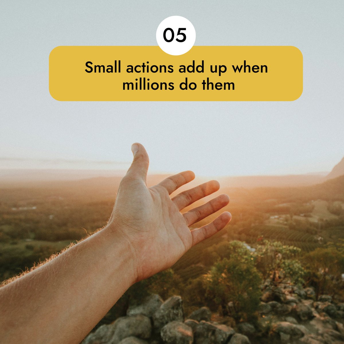 thenatureguards's tweet photo. Start with one action today

#1MinuteActions #SmallStepsBigImpact #EasyEcoHabits #SustainableLiving #MicroTips #NatureGuardians https://t.co/ZOQSfPVh7i