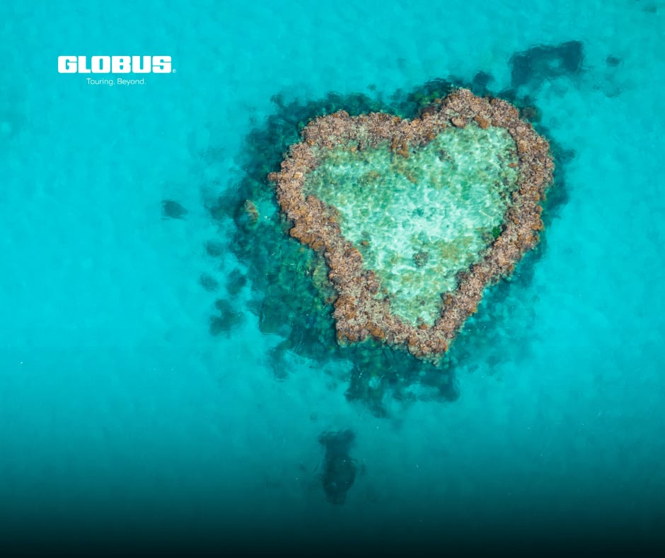 TravelWizards's tweet image. Australia Awaits

From coral reefs, sunlit rainforests, and buzzing cities, Australia is a place to be. Snorkel the Great Barrier Reef, discover hidden beaches, and take in sunsets that leave a lasting glow.

#Globus #GuidedTours #Australia  #Rainforest #BeautifulLandscapes