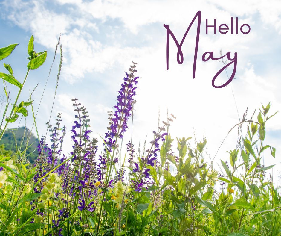 Hello May! LSContractorsLLC.com #may #may1st #springtime #renovation #remodel #construction #contractor #build #builder #building #tools #work #home #house #residential #commercial #nj #newjersey #jersey #monmouthcounty