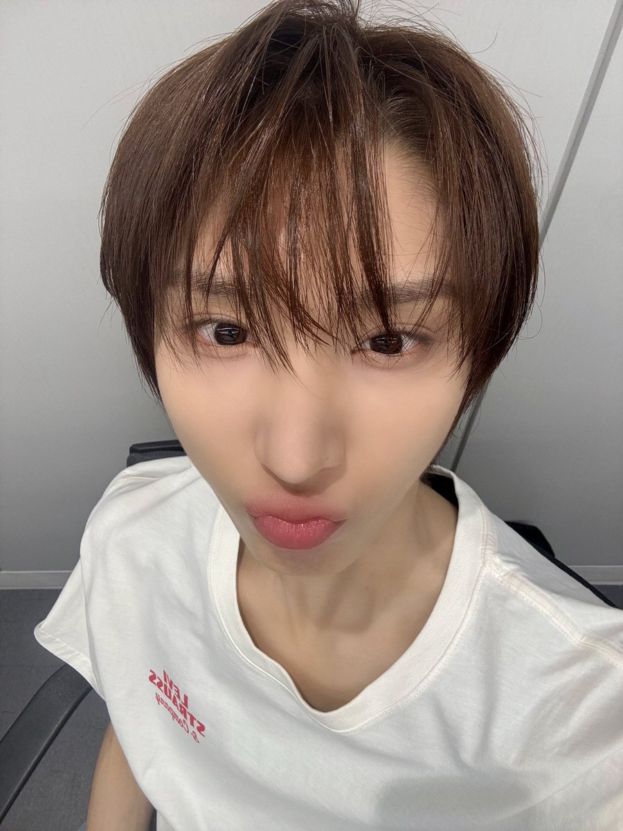뿔립 tweet media
