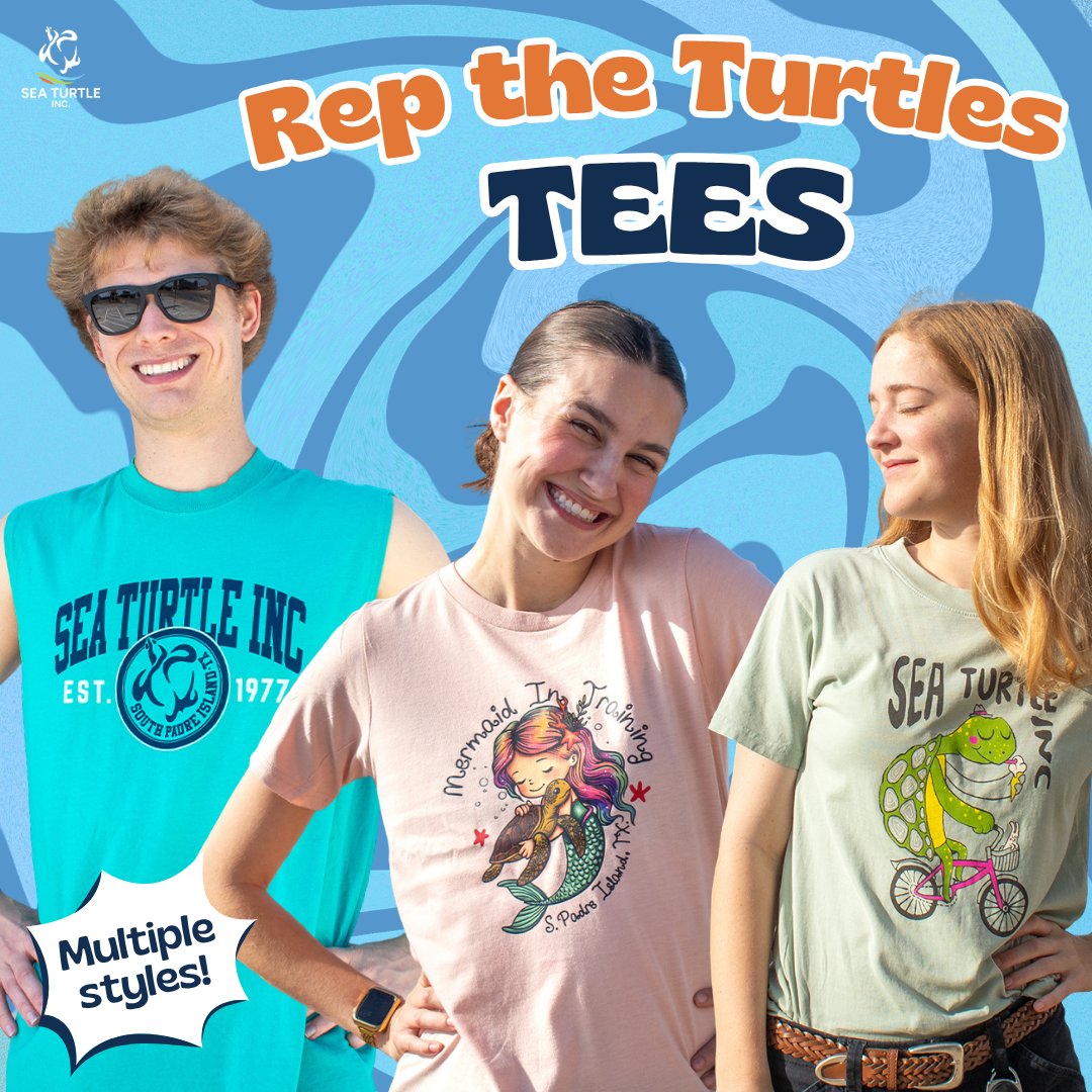 Sea Turtle, Inc. tweet media