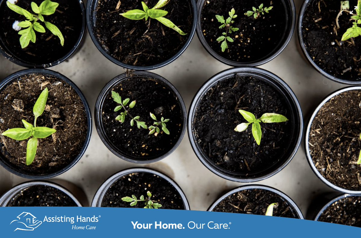 AHManassas's tweet image. Nothing says Springtime more than the sprouts and shoots of a garden. The sun is the best natural source of Vitamin D, and it only takes 5-15 minutes of sunlight a few times a week to notice a difference. #AssistingHands #SunShine