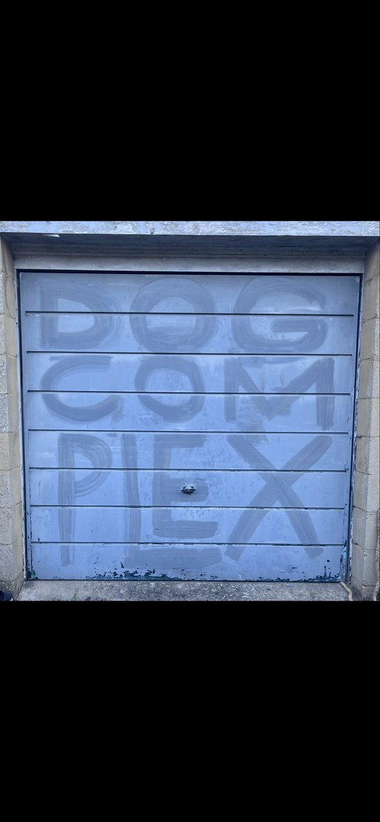 jessethetree401's tweet photo. surpriiiiiiiise new sleepingdogs album “DOG COMPLEX” out now on bandcamp !!! some of my favorite shit we’ve ever done , and our first of what’s to come of mixed producer albums. Hope you find some jams on here that you love. merch and shit on bandcamp too on the link below 💤🐶💜 https://t.co/3cV5ZEUQcu