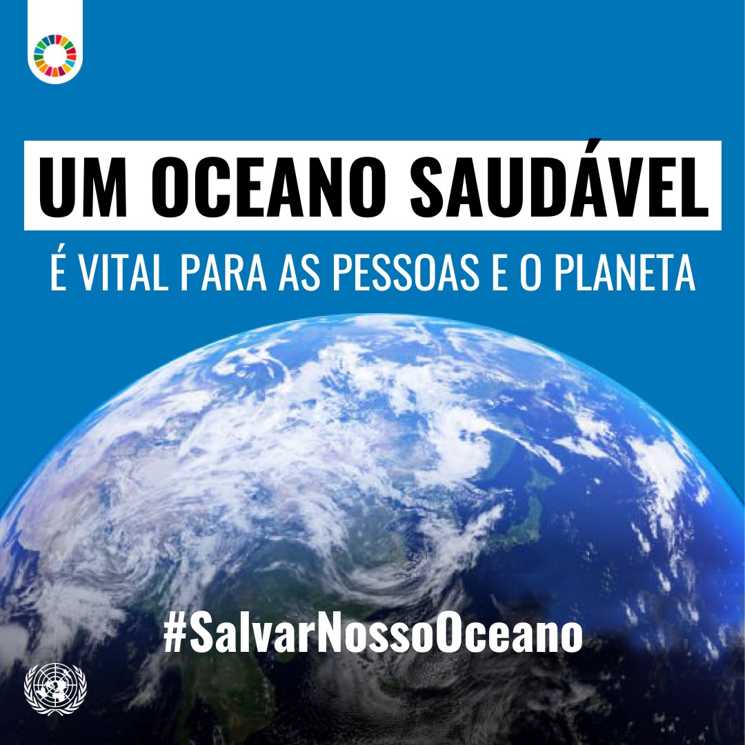 Nações Unidas tweet media