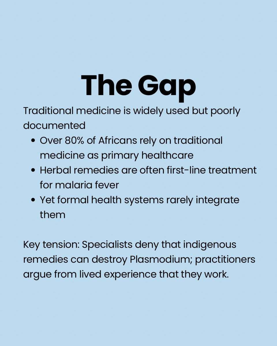 IADS_NG's tweet image. Africa has been treating malaria long before laboratory medicine arrived. Generations of healers, mothers, and communities built entire systems of care from the land around them, lemongrass, mango leaves, bitter leaves, and more.

#IADS
#UNILAG