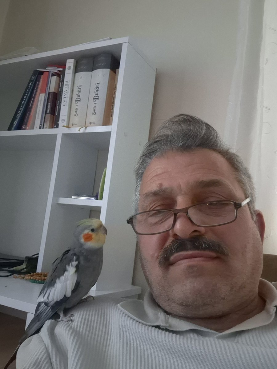 Mehmet Şen tweet media