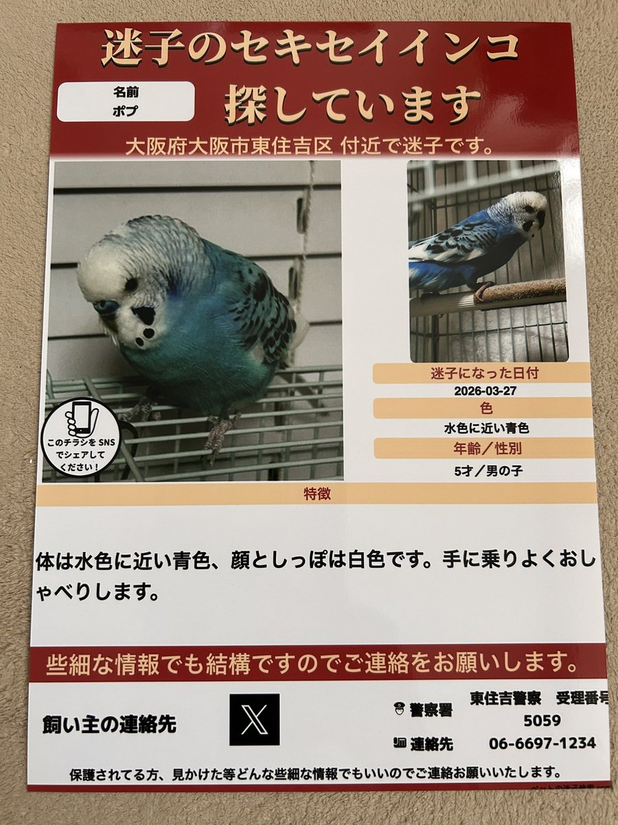 ペコ tweet media