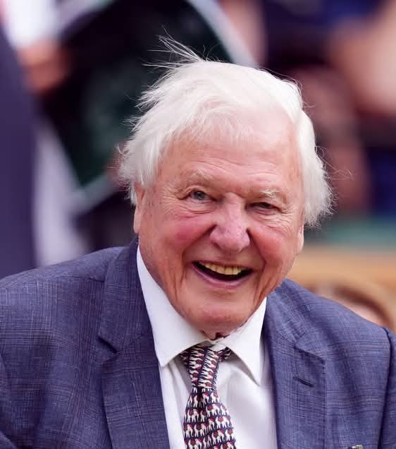 David Attenborough.  A beautiful humanitarian inside and out.❤️