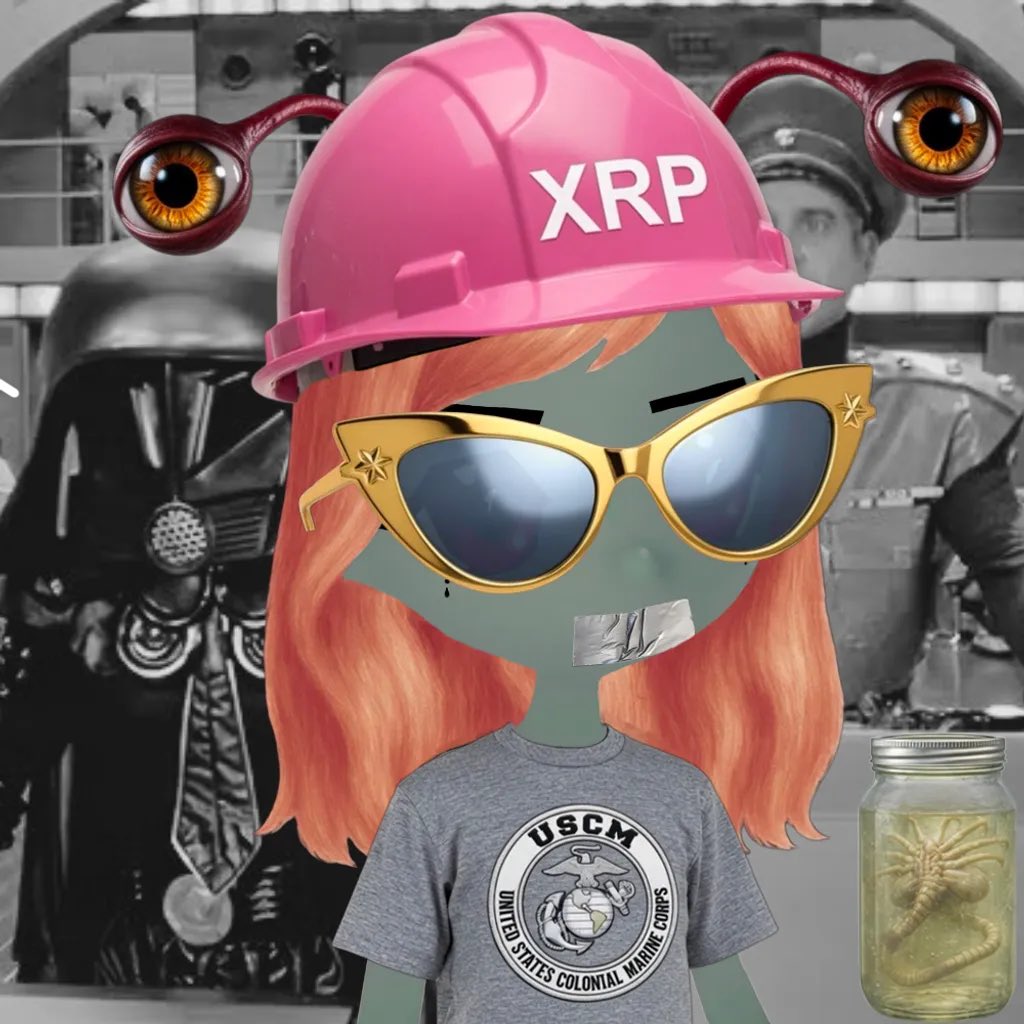 Round Tripprx tweet media