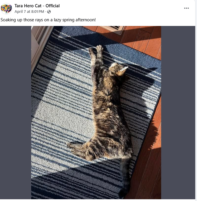 DeeRzar tweet media