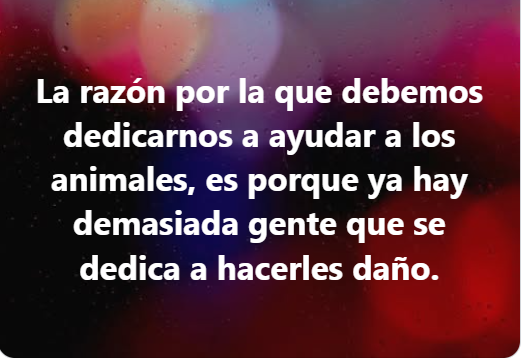 ECOLógicos Unidos 🇦🇷💙 tweet media